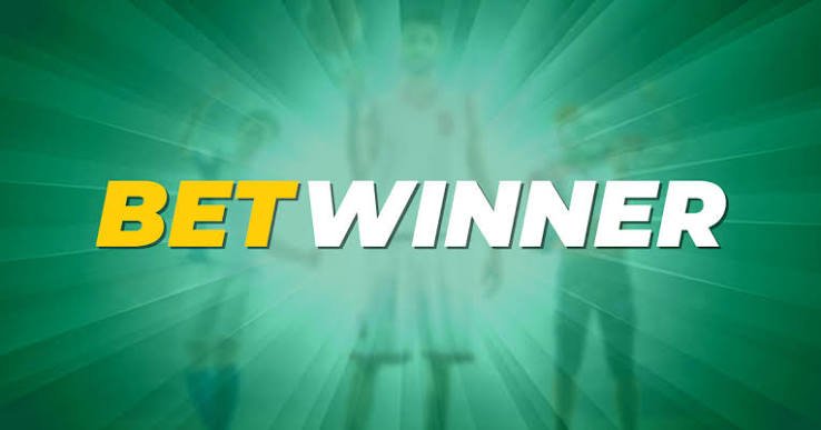 Discover the World of BetWinner A Comprehensive Overview